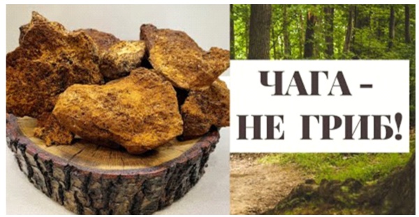 Для запуска видео кликните мышкой