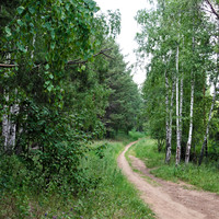 Пейзаж