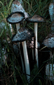 Фото 6